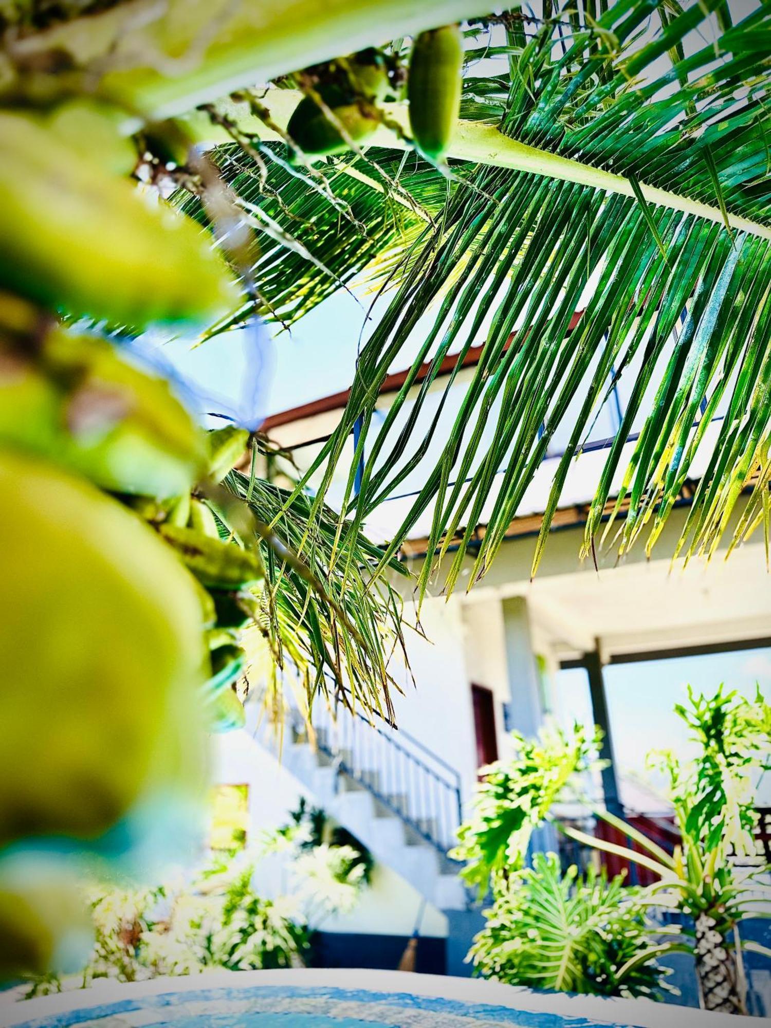 Batur Volcano Guesthouse Kintamani Εξωτερικό φωτογραφία